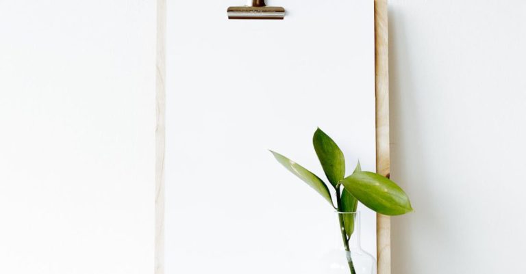 Office Layout - Composition of clipboard with empty sheet placed on stacked books near white mug and green plant leaf